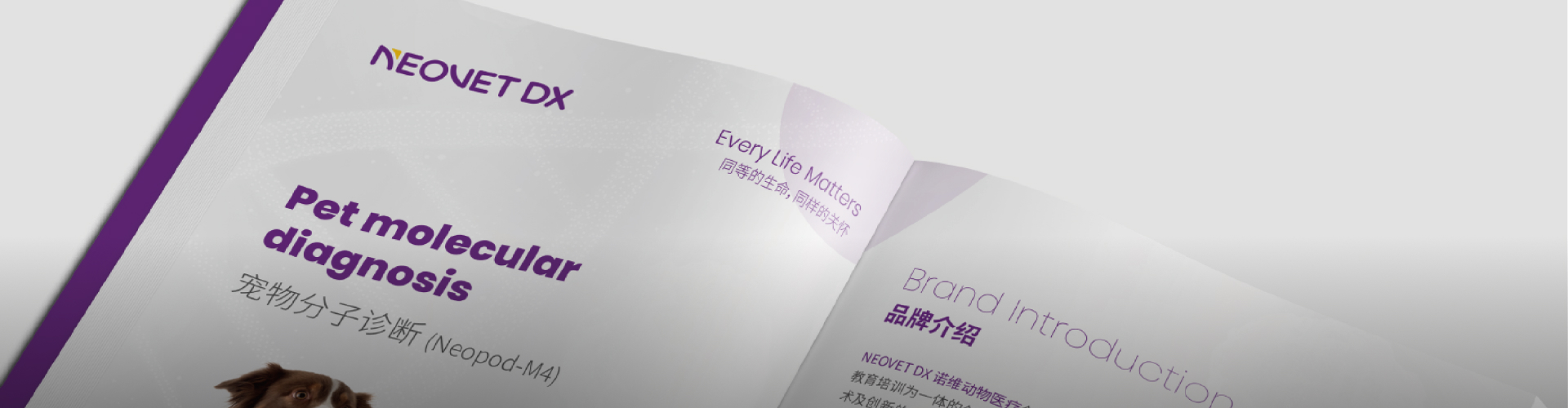 英科新创(厦门)科技股份有限公司