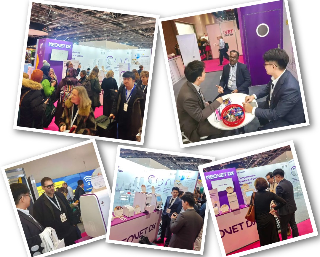 1763970342967278.jpg show_665698199_1763969853583.jpg