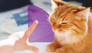Why Neovet Dx: Your guardian of pet health.