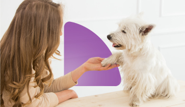 Elevating Pet Medical Care: An Invitation from Neovet Dx