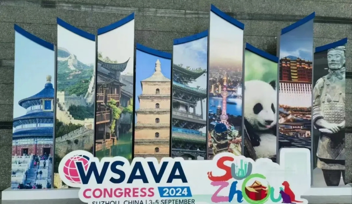 WSAVA 2024 | Neovet Dx presented many new products